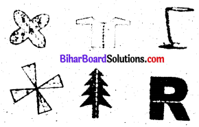 Bihar Board Class 6 Maths Solutions Chapter 14 सममिति Ex 14.1 Q2.1