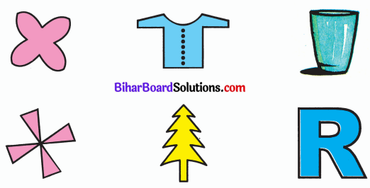 Bihar Board Class 6 Maths Solutions Chapter 14 सममिति Ex 14.1 Q2