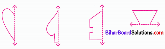 Bihar Board Class 6 Maths Solutions Chapter 14 सममिति Ex 14.1 Q3