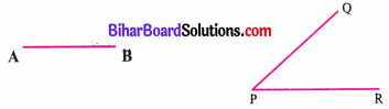 Bihar Board Class 6 Maths Solutions Chapter 5 आधारभूत ज्यामितीय जानकारियाँ Ex 5.1 Q1