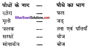 Bihar Board Class 6 Science Solutions Chapter 1 भोजन कहाँ से आता है 1