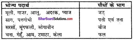 Bihar Board Class 6 Science Solutions Chapter 1 भोजन कहाँ से आता है 4
