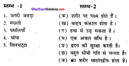 Bihar Board Class 6 Science Solutions Chapter 9 जन्तुओं में गति 1