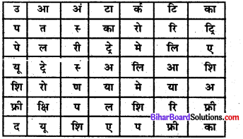 Bihar Board Class 6 Social Science Geography Solutions Chapter 2 पृथ्वी एवं उसकी गतियाँ 1