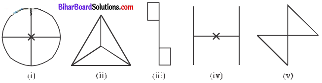 Bihar Board Class 7 Maths Solutions Chapter 14 सममिति