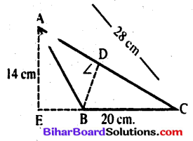 Class 7 Maths Chapter 15 Bihar Board 