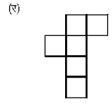 Bihar Board Class 7 Maths Solutions Chapter 16 त्रिविमीय आकृतियों का द्विविमीय निरूपण Ex 16.1 Q5.5