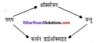 जल और जंगल वर्ग 7 Bihar Board Chapter 1