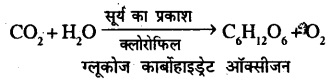 Bihar Board Class 7th Science Solution