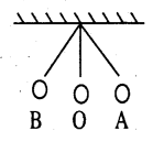 Bihar Board Class 7 Science Solutions Chapter 8 गति एवं समय 7