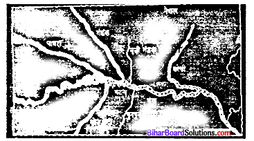Bihar Board Class 7 Social Science Geography Solutions Chapter 10 मानव पर्यावरण अंतःक्रिया अपना प्रदेश बिहार 1