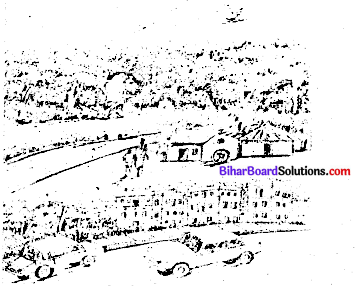 हमारा पर्यावरण कक्षा 7 Bihar Board Chapter 6