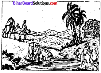 Bihar Board Class 7 Social Science Geography Solutions Chapter 9 मानव पर्यावरण अंतःक्रिया थार प्रदेश में जन-जीवन 1