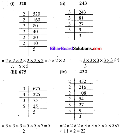 Class 8 Math Solution Bihar Board Chapter 6