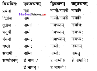 Bihar Board Class 8 Sanskrit व्याकरणम् शब्दरूपाणि 1