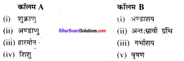 Bihar Board Class 8 Science Solutions Chapter 17 किशोरावस्था की ओर 1