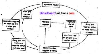 Class 8 Bihar Board Science Chapter 7
