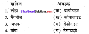 Bihar Board Class 8 Social Science Geography Solutions Chapter 1C खनिज संसाधन 1
