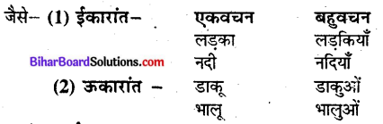 Bihar Board Class 9 Hindi व्याकरण वचन - 2
