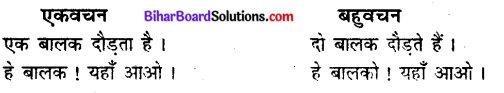 Bihar Board Class 9 Hindi व्याकरण वचन - 3