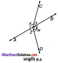 Bihar Board Class 9 Maths Solutions Chapter 6 रेखाएँ और कोण Ex 6.1