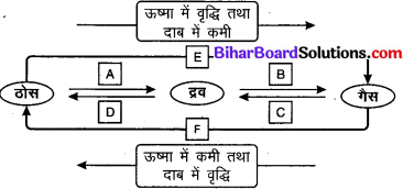 Bihar Board Class 9 Science Solutions Chapter 1 हमारे आस-पास के पदार्थ 