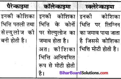 Bihar Board Class 9 Science Solutions Chapter 6 ऊतक 