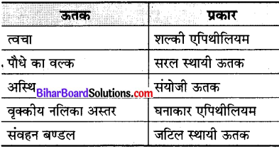 Bihar Board Class 9 Science Solutions Chapter 6 ऊतक 