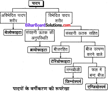 Bihar Board Class 9 Science Solutions Chapter 7 जीवों में विविधता 