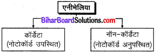 Bihar Board Class 9 Science Solutions Chapter 7 जीवों में विविधता 