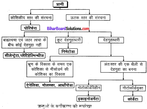 Bihar Board Class 9 Science Solutions Chapter 7 जीवों में विविधता 