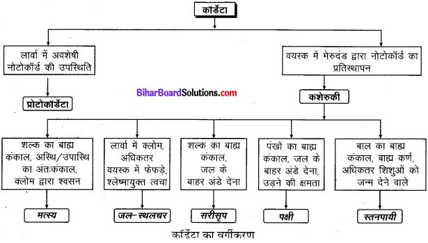 Bihar Board Class 9 Science Solutions Chapter 7 जीवों में विविधता 