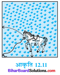 Bihar Board Class 10 Maths Solutions Chapter 12 वृतों से संबंधित क्षेत्रफल Ex 12.2 Q8