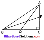 Bihar Board Class 10 Maths Solutions Chapter 6 त्रिभुज Additional Questions LAQ 1
