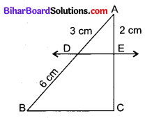 Bihar Board Class 10 Maths Solutions Chapter 6 त्रिभुज Additional Questions VSQ 7