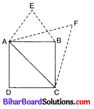 Bihar Board Class 10 Maths Solutions Chapter 6 त्रिभुज Ex 6.4 Q7