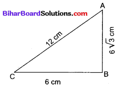Bihar Board Class 10 Maths Solutions Chapter 6 त्रिभुज Ex 6.5 Q17