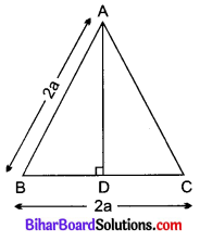 Bihar Board Class 10 Maths Solutions Chapter 6 त्रिभुज Ex 6.5 Q6