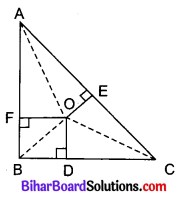 Bihar Board Class 10 Maths Solutions Chapter 6 त्रिभुज Ex 6.5 Q8.1