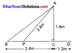 Bihar Board Class 10 Maths Solutions Chapter 6 त्रिभुज Ex 6.6 Q10.1
