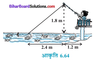Bihar Board Class 10 Maths Solutions Chapter 6 त्रिभुज Ex 6.6 Q10