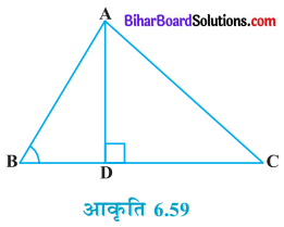 Bihar Board Class 10 Maths Solutions Chapter 6 त्रिभुज Ex 6.6 Q4