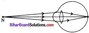 Bihar Board Class 10 Science Solutions Chapter 11 मानव नेत्र एवं रंगबिरंगा संसार