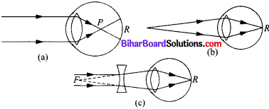 Bihar Board Class 10 Science Solutions Chapter 11 मानव नेत्र एवं रंगबिरंगा संसार