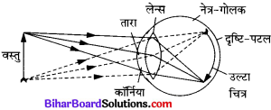 Bihar Board Class 10 Science Solutions Chapter 11 मानव नेत्र एवं रंगबिरंगा संसार