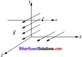 Bihar Board Class 10 Science Solutions Chapter 13 विद्युत धारा का चुम्बकीय प्रभाव