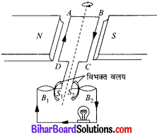 Bihar Board Class 10 Science Solutions Chapter 13 विद्युत धारा का चुम्बकीय प्रभाव