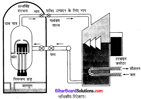 Bihar Board Class 10 Science Solutions Chapter 14 उर्जा के स्रोत 