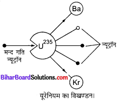 Bihar Board Class 10 Science Solutions Chapter 14 उर्जा के स्रोत 