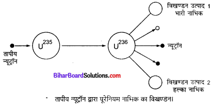 Bihar Board Class 10 Science Solutions Chapter 14 उर्जा के स्रोत 